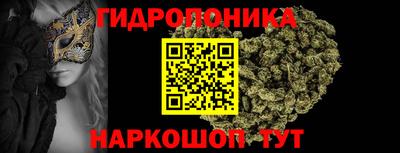твердый Новозыбков