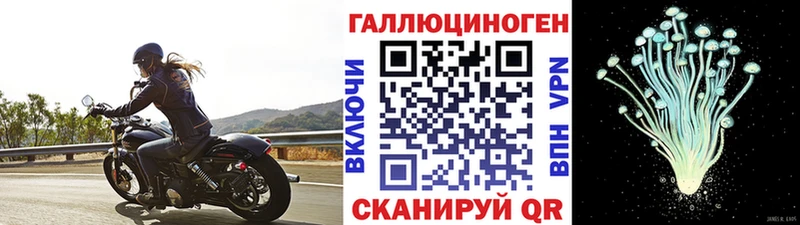 Псилоцибиновые грибы Psilocybe  Ставрополь 