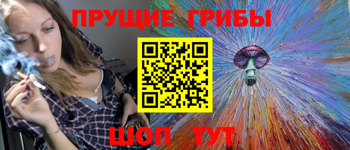 Галлюциногенные грибы прущие грибы Ставрополь
