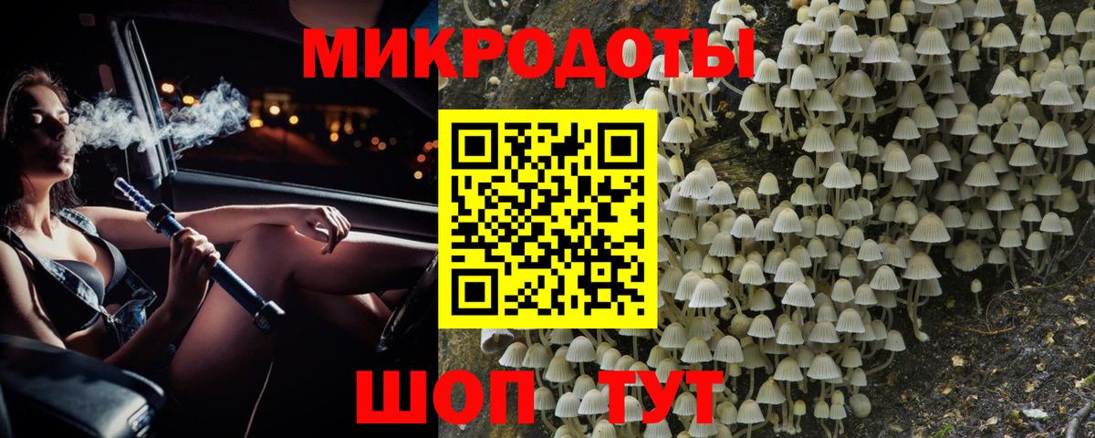 Псилоцибиновые грибы Psilocybe  Псилоцибиновые грибы Psilocybine cubensis  Ставрополь  Вход с VPN 